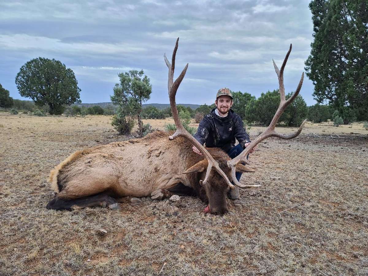 Trophy New Mexico Elk